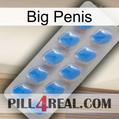 Big Penis 22